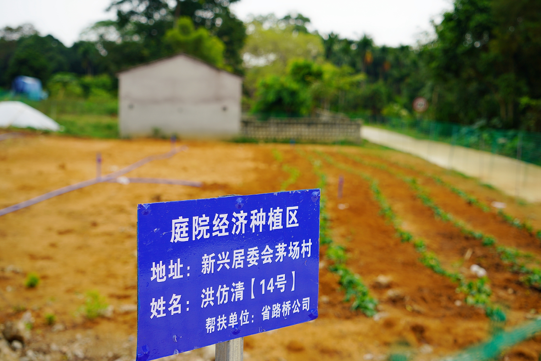 MG不朽情缘(中国区)官方网站