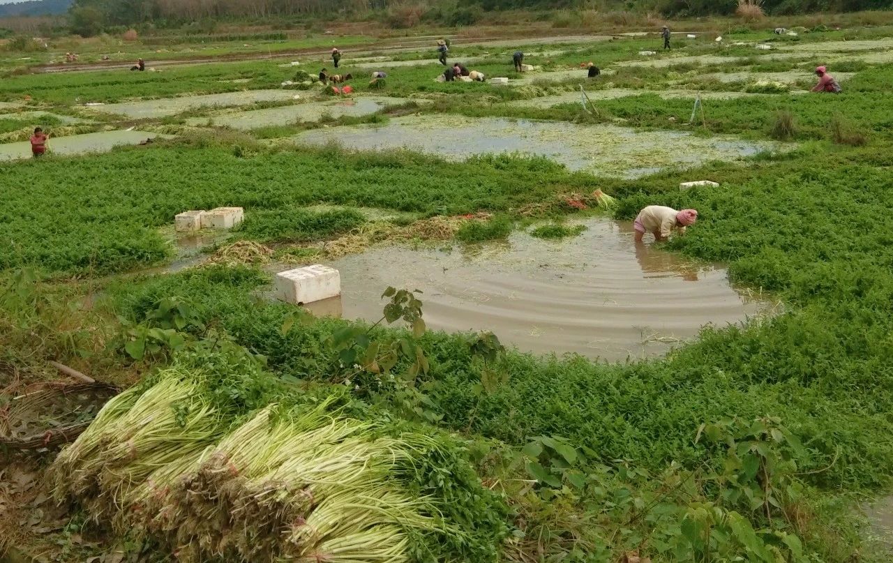 MG不朽情缘(中国区)官方网站