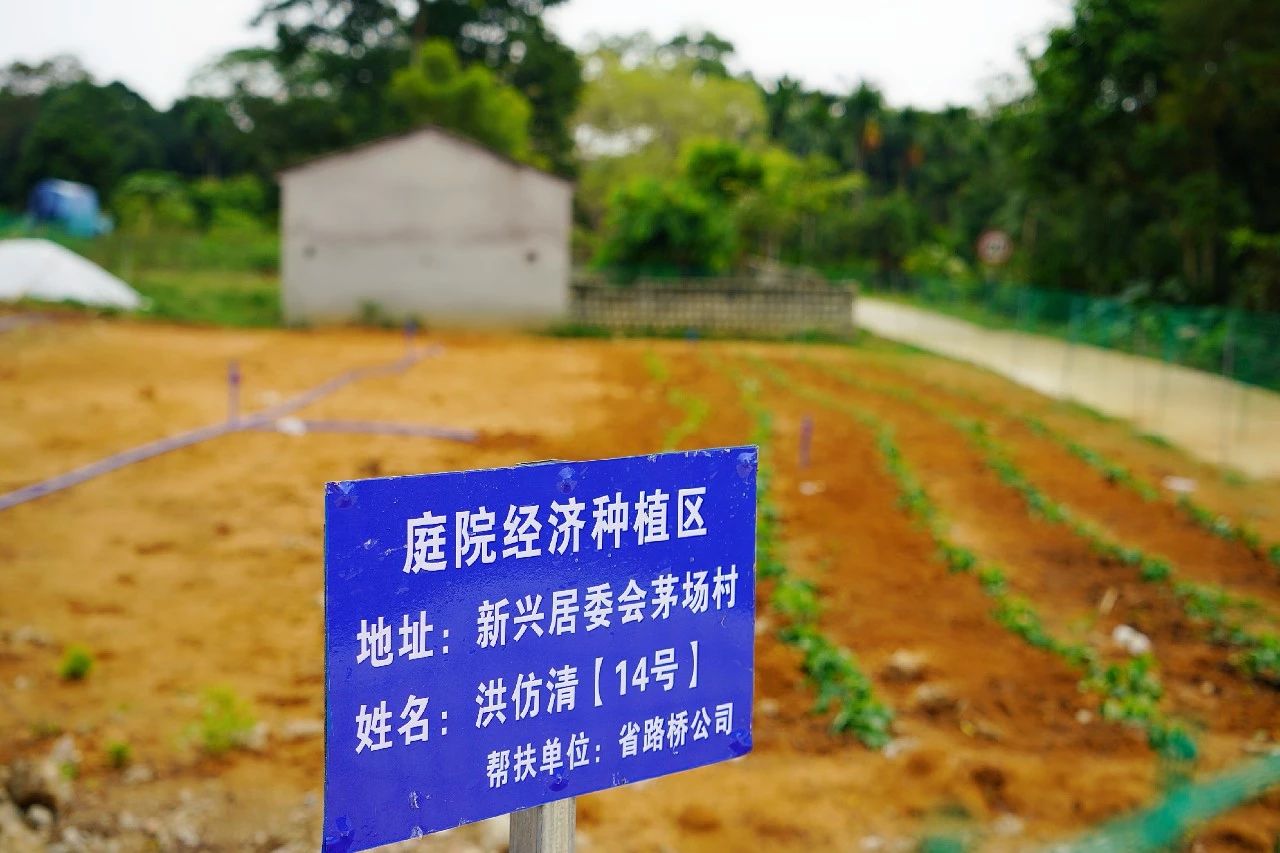 MG不朽情缘(中国区)官方网站