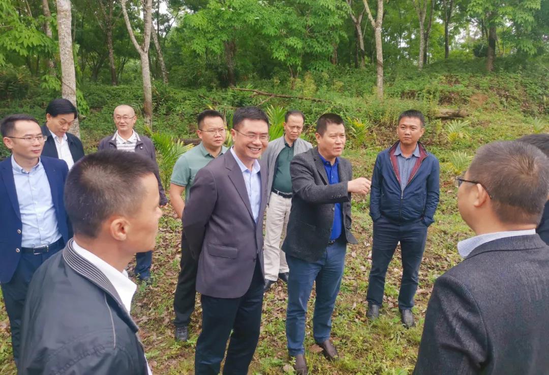 MG不朽情缘(中国区)官方网站